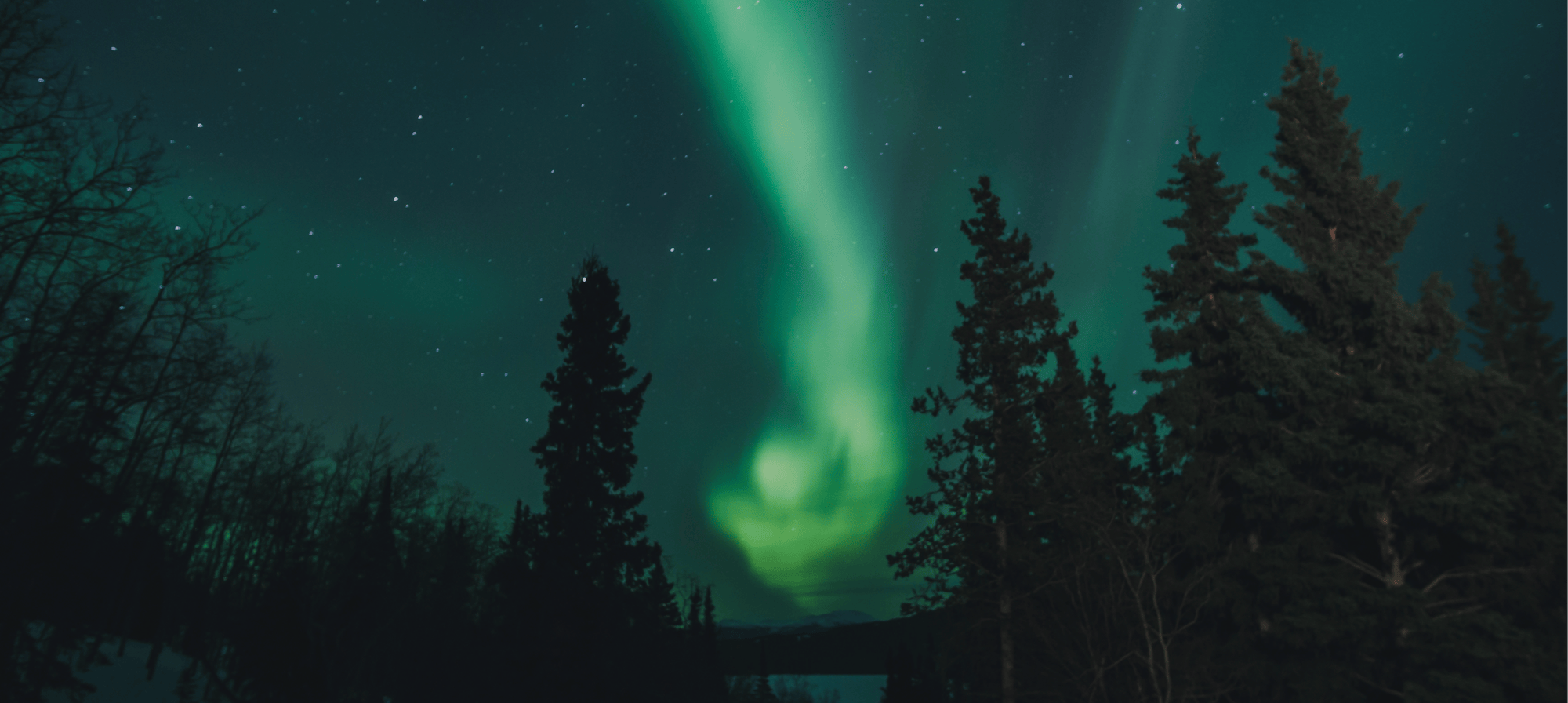 Northern Lights